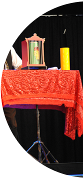 prestation magicien mlanimation