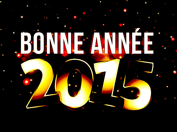 MLA Dijon Bonne Année 2015