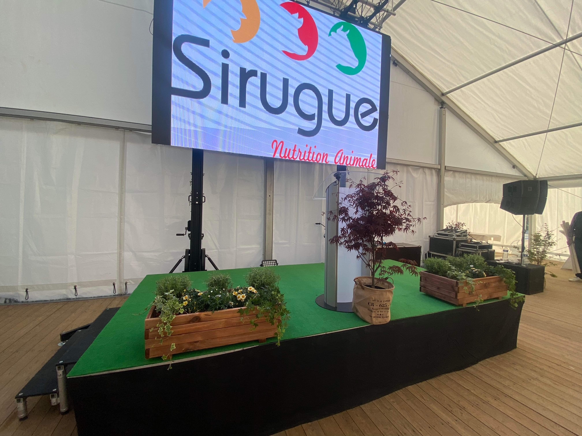 Dalles Starpanel P3,9 – Image 4