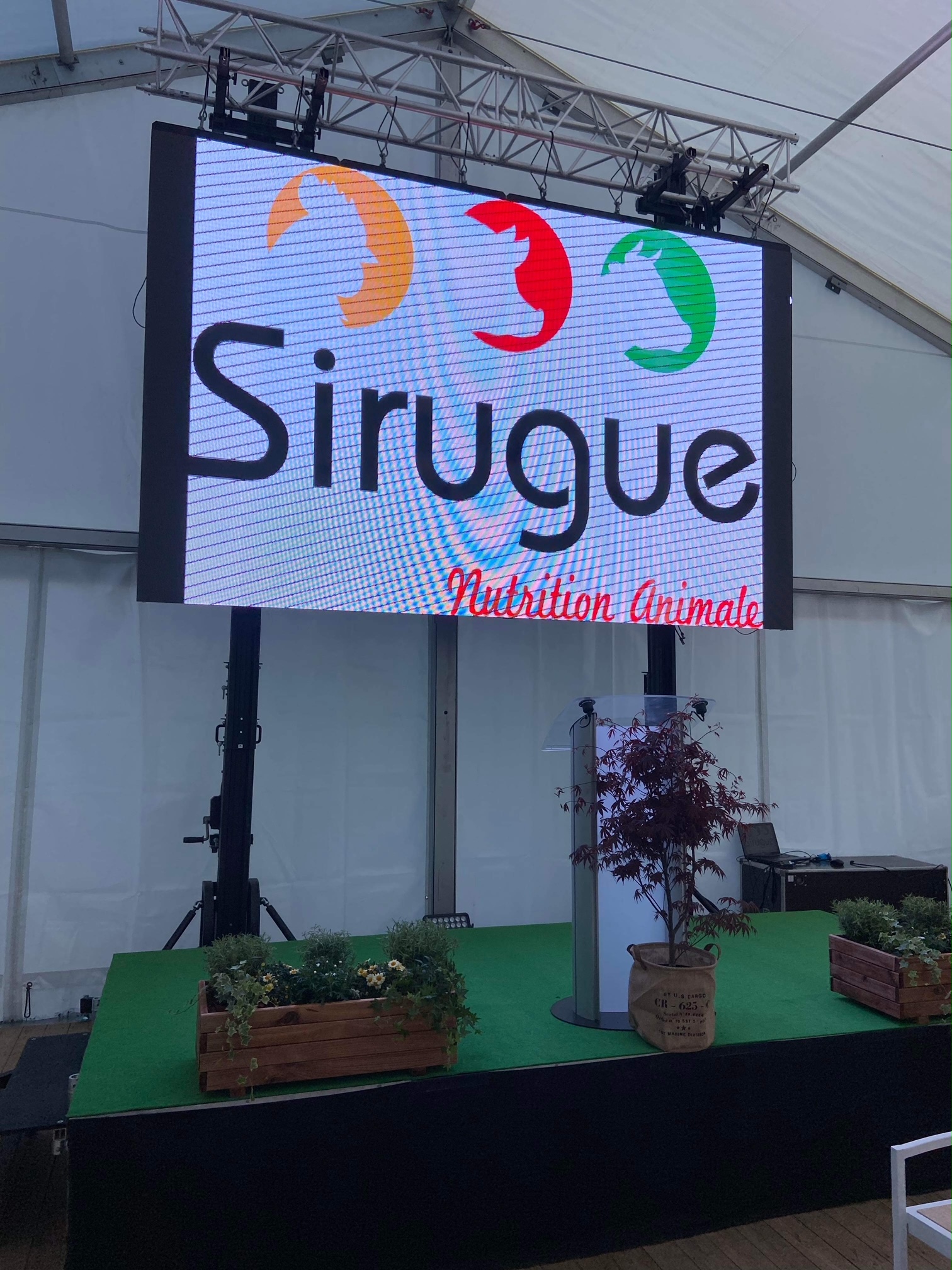 Dalles Starpanel P3,9 – Image 10